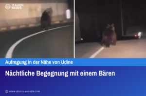 Nächtliche Begegnung mit einem Bären